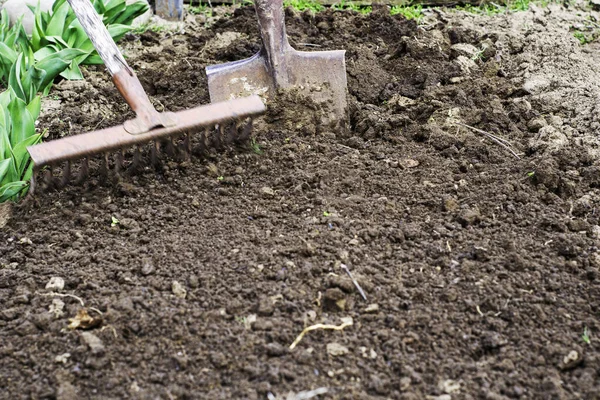 Letto Scavato Terra Una Pala Bloccata Nel Terreno Primo Piano — Foto Stock