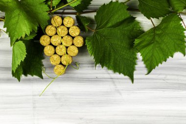 Ahşap zemin üzerinde üzüm yaprakları çerçeve şarap mantarları monte edilir. Yüksek kalite fotoğraf