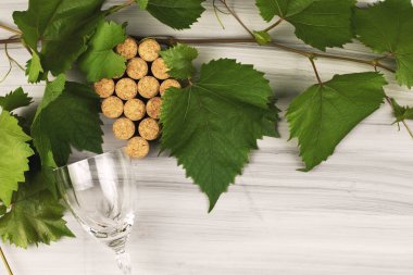 Şarap mantarları üzüm fırçası dalları ve boyalı ahşap bir arka planda cam şeklinde serilmiştir. Yüksek kalite fotoğraf