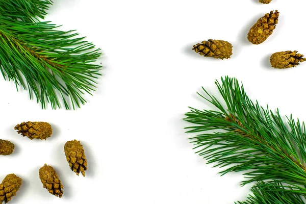 Borové Větve Borovicové Šišky Bílém Pozadí Koncept Nového Roku Vánoce — Stock fotografie