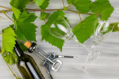 Üzüm dalları bir şarap tirbuşonu bir şişe şarap ve boyalı ahşap arka planda iki cam bardak. Yüksek kalite fotoğraf