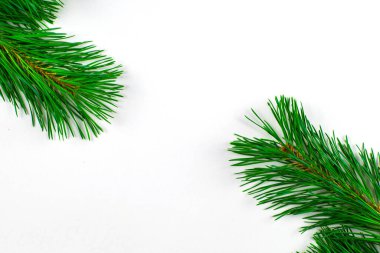 Beyaz arka plandaki çam dalları yeni yıl Noel konsepti. Yüksek kalite fotoğraf