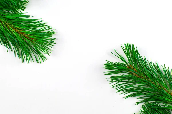 Сосновые Ветви Белом Фоне Концепция Нового Года Рождество Высокое Качество — стоковое фото