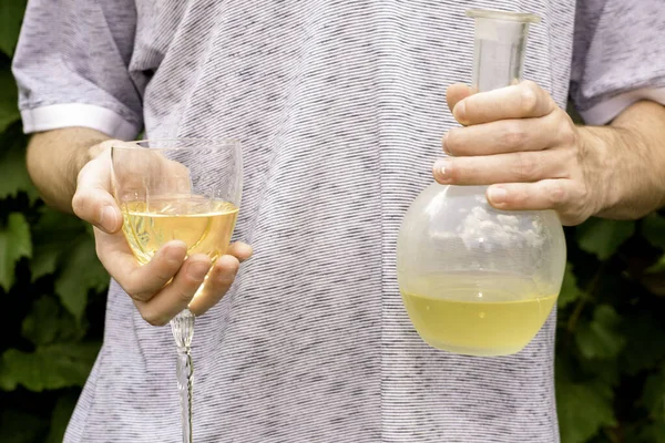 Enólogo Segura Copo Uma Garrafa Vinho Branco Fundo Arbustos Uva — Fotografia de Stock