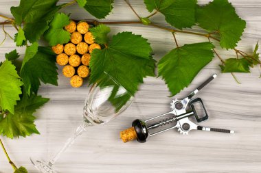 Şarap mantarları üzüm fırçası dalları, şarap tirbuşonu ve tahta zemin üzerine cam bardak şeklinde serilmiştir. Yüksek kalite fotoğraf