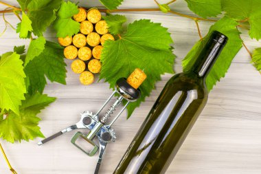 Şarap mantarları üzüm fırçası dalları, şarap tirbuşonu ve boyalı ahşap arka planda bir şişe şarap şeklinde serilmiştir. Yüksek kalite fotoğraf