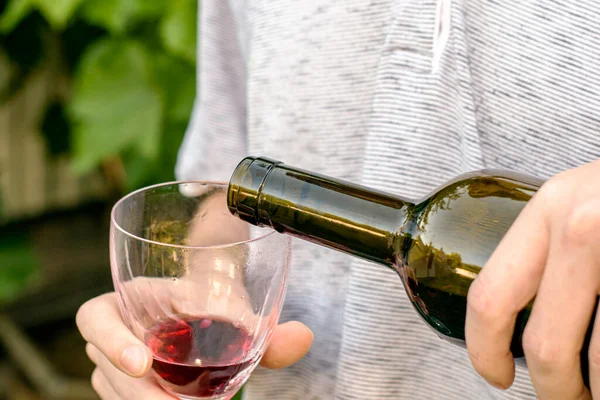 Vinmakaren Häller Vin Från Flaska Ett Glas Mot Bakgrund Druvbuskar — Stockfoto