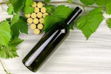 Şarap mantarları üzüm fırçası dalları ve boyalı ahşap bir arka plan kopyasının üzerine bir şişe şarap şeklinde serilmiştir. Yüksek kalite fotoğraf