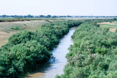 Nehir kıyılar arasında akıyordu. Köprüden gelen dallarla kaplıydı. Yüksek kalite fotoğraf