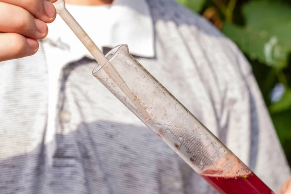 Enologo Misura Contenuto Zuccherino Nel Succo Uva Compone Succo Una — Foto Stock