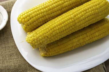 Mısır koçanında beyaz bir tabakta, tuzluklu tuzluğun yanında pişti. Yüksek kalite fotoğraf