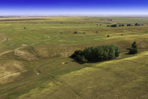 Paesaggio Steppico Con Alberi Che Crescono Uno Sfondo Trave Foto — Foto Stock