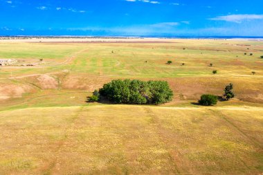 Arka planda ağaçların büyüdüğü bozkır manzarası. Yüksek kalite fotoğraf