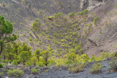 La Palma Kanarya Adası 'ndaki San Antonio yanardağının manzarası.
