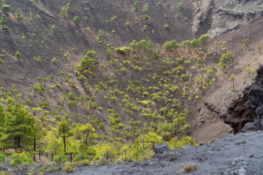 La Palma Kanarya Adası 'ndaki San Antonio yanardağının manzarası.