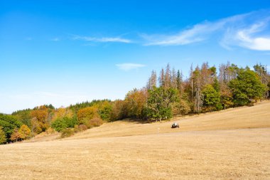 Güneşli bir günde kuru bir çayırda otlayan sığırları sulamak için mobil su tankı.