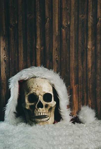 Totenkopf Mit Weihnachtsmütze Schnee — Stockfoto