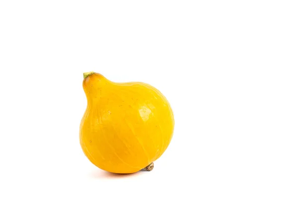 Yellow Pumpkin White Background Copy Spac — Stock Photo, Image