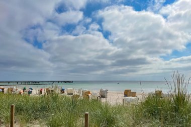 Grossenbrode, Almanya 'nın arkaplanındaki gezinti alanında yeni ekilmiş kum tepecikleri.