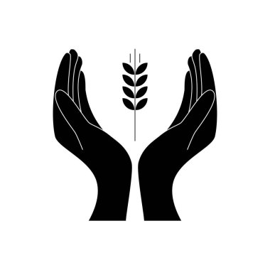Eller açık ve beyaz izole edilmiş üzerinde buğday logo vektör illüstrasyonunu tutuyor