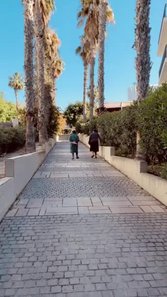 Anziani Anziani Donne Anziane Che Camminano All Aperto Stili Vita — Video Stock