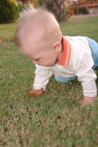 草の中に座ってる男の子かわいい赤ちゃん — ストック写真