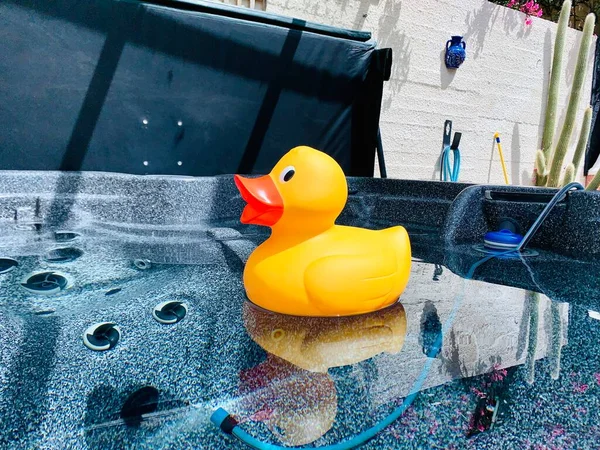 Pato de borracha amarelo grande na banheira jacuzzi — Fotografia de Stock