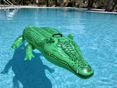 Havuzda timsah şeklinde şişme iskemle.