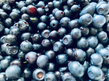 Yaban mersinleri arka planda taze yaz hasat fotoğraf yüzeyi