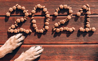 2021 yazısında kahverengi ahşap arka planda köpek maması ve bir Alman çoban köpeğinin kırmızı pençeleri yer almaktadır. Bir evcil hayvan dükkanı için orijinal yaratıcı Noel düzeni. Köpek yiyeceğini bekliyor..