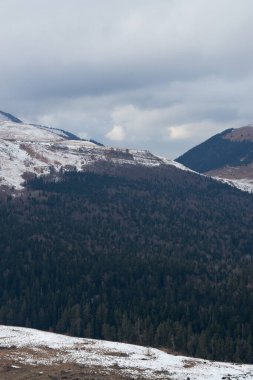 Uzakta kozalaklı koyu yeşil orman ve arka planda yüksek karlı dağlar. Kışın Rusya 'nın Kafkas rezervi. Doğanın gücü ve görkemi.
