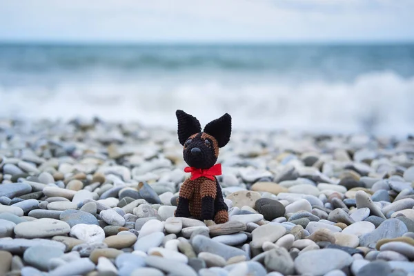 Amigurumi el yapımı tığ işi oyuncak. Büyük siyah kulaklı küçük sevimli Alman kurdu çakıl taşlı plajda oturuyor. Güzel köpek gezgini..
