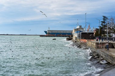 Rusya, Tuapse - 26 Aralık 2020. Rusya 'nın güneyinde küçük bir kasaba olan Tuapse limanında, insanlar martılara ekmek yediriyor, yaban kuşu sinekle yiyecek yakalıyor..
