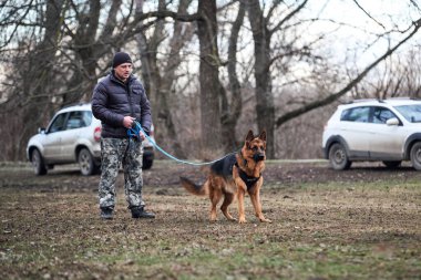 Russia, Krasnodar 31.01.2021 training of working dogs at the stadium. Dog on leash and harness tries to protect its owner. Training to protect German Shepherd.