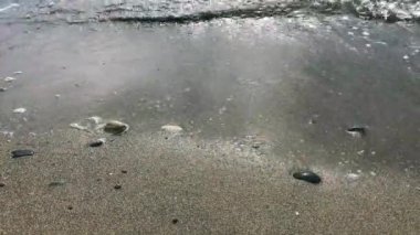 Dalgalar deniz kıyısında dönüyor. Şeffaf mavi sakin deniz. Sahilde kayalık sahil ve kum. Kıyıdan nefes kesici okyanus manzarası.