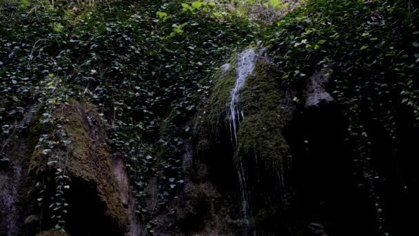 Petites Cascades Coulent Ruisseau Mince Sur Les Rochers Mousse Verte — Video