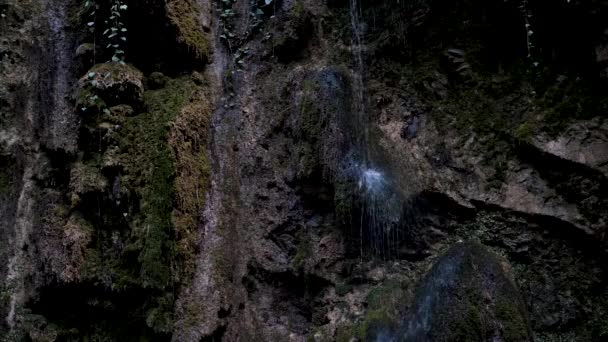 Pequena Cachoeira Flui Riacho Fino Sobre Rochas Musgo Verde Floresta — Vídeo de Stock