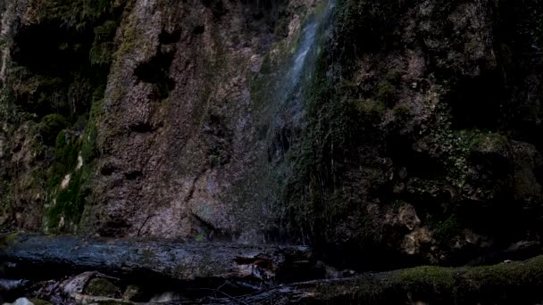 小さな滝は 岩の上の細い流れと野生の森の緑の苔に流れています 国立公園の自然 きれいな冷たい新鮮な飲料水とストリーム — ストック動画