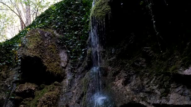 小さな滝は 岩の上の細い流れと野生の森の緑の苔に流れています 国立公園の自然 きれいな冷たい新鮮な飲料水とストリーム — ストック動画