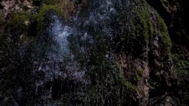 Küçük şelale kayaların ve vahşi ormanda yeşil yosunların üzerinden ince bir derede akıyor. Ulusal Park 'ın doğası. Temiz ve temiz soğuk içme suyuyla akarsu.