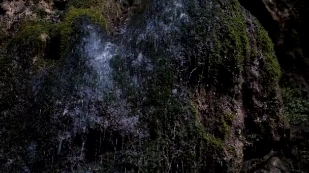Pequeña Cascada Fluye Arroyo Delgado Sobre Rocas Musgo Verde Bosque — Vídeo de stock