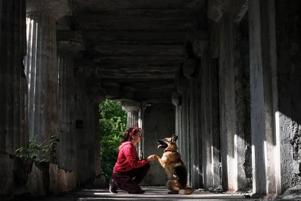Young pretty woman with German Shepherd sits in abandoned building against backdrop of large tall majestic columns. Walk through abandoned old house with dog. Ruins of past centuries.