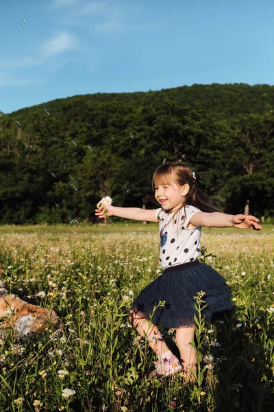 Menina Europeia Passeio Menina Pequena Caucasiana Cinco Anos Com Cabelo — Fotografia de Stock