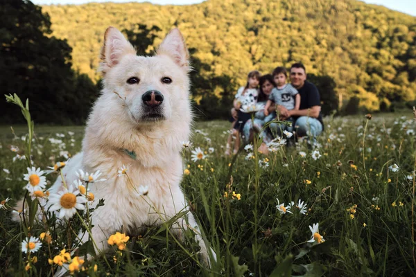 Jovem Família Feliz Europeia Caucasiana Cão Primeiro Plano Claro Afiado — Fotografia de Stock