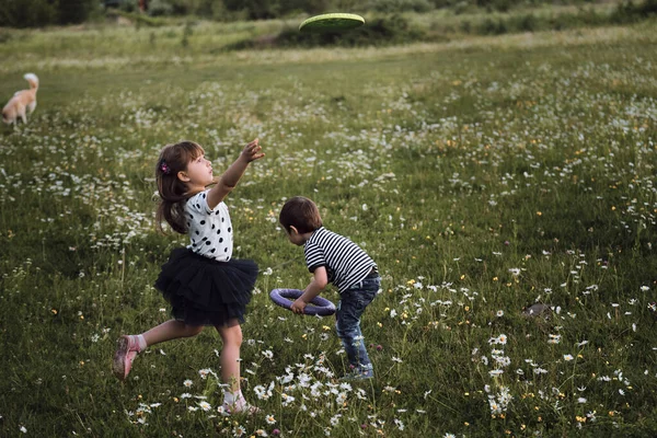 Infância Feliz Natureza Irmão Irmã Correm Pelo Campo Camomila Crianças — Fotografia de Stock