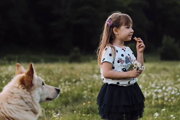 Pequena Menina Cinco Anos Com Cabelo Longo Bonito Vestido Está — Fotografia de Stock