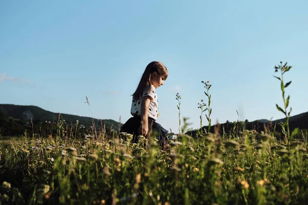 Liten Vit Flicka Med Vackert Långt Hår Går Genom Kamomillfältet — Stockfoto