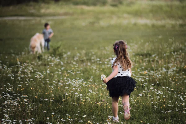 Menina Vestido Azul Branco Corre Através Campo Margaridas Alegremente Para — Fotografia de Stock