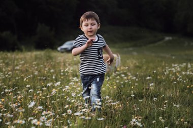 Üç yaşındaki çizgili tişörtlü beyaz çocuk sıcak yaz gününde neşeyle ve hızla papatya tarlasında koşar. İyi havada gün batımında çocukla parkta yürü. Çocukların yüzündeki duygular..