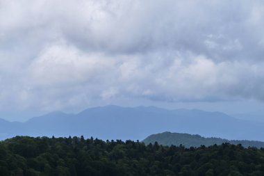 Kafkasya 'daki Ulusal Park' ın doğası ve manzarası. Yoğun yeşil kozalaklı yaz ormanı ve ufukta beliren dağ siluetleri. Dağlar, tarlalar ve orman bulutlu havada.